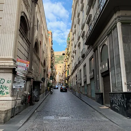 Moma Гостевой дом